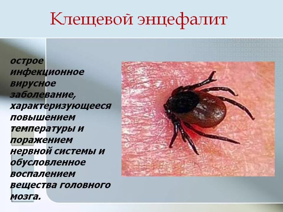 Последствия клещевого энцефалита у человека фото Клещевой энцефалит осложнения