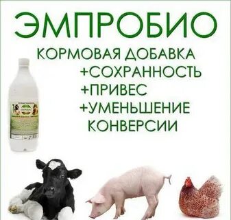 Эмпробио