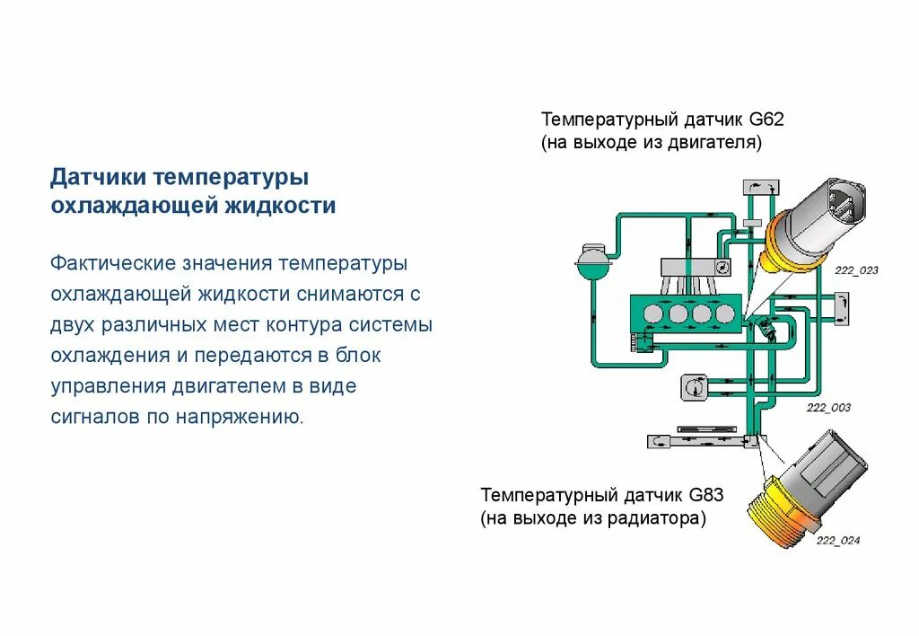 Датчик температуры системы охлаждения схема. G62 датчик температуры охлаждающей жидкости. Датчик охлаждения жидкости g62. G83 датчик температуры охлаждающей жидкости VW. Датчик температуры воды двигателя