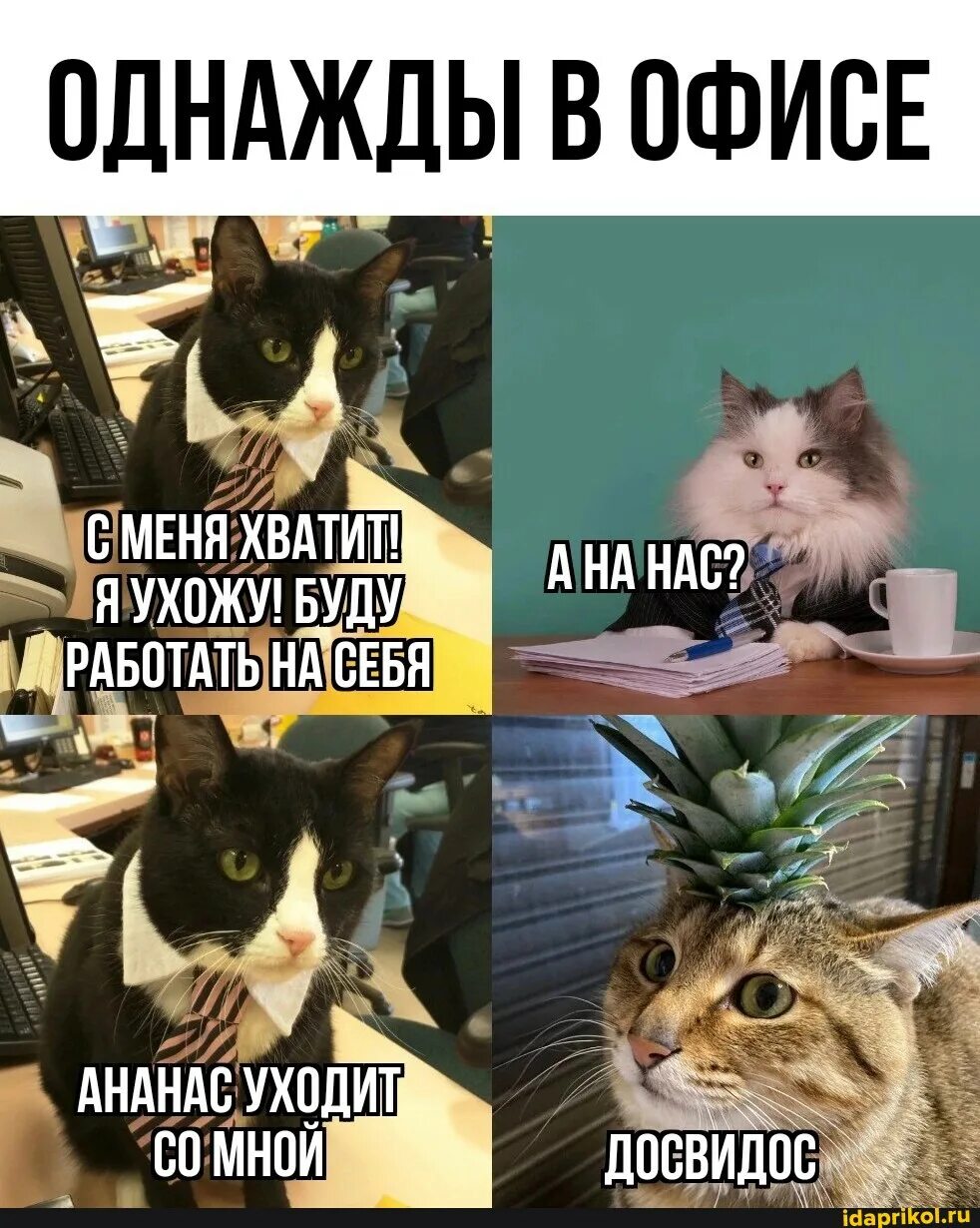 Ананас уходит со мной мем. Покажи капибару. Ананас тоже уходит. Ушла в ананас. Прическа ананас.