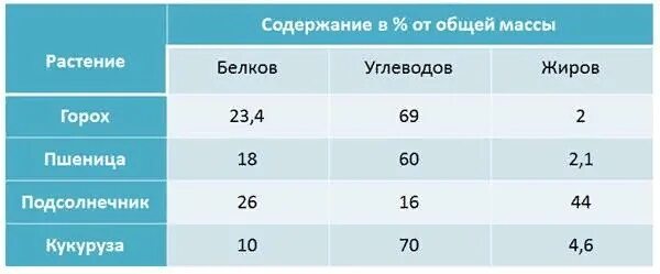 Сколько белка содержится в семечках. В семенах белки, жиры. семёчки белки жиры углеводы. в каких растениях больше всего белков, жиров и углеводов. большое количество жиров содержится в семенах.
