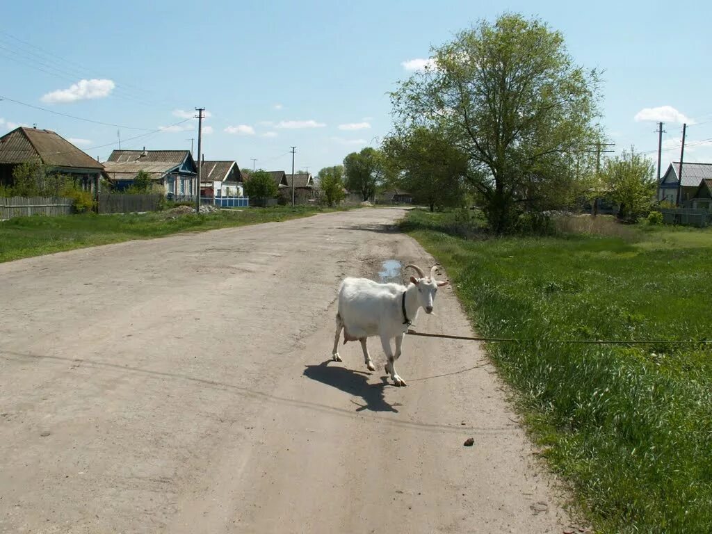 поселок радищево новоузенский район. п радищево новоузенск. поселок радищево новоузенский район. радищево саратовская область погода. поселок радищево новоузенский район.