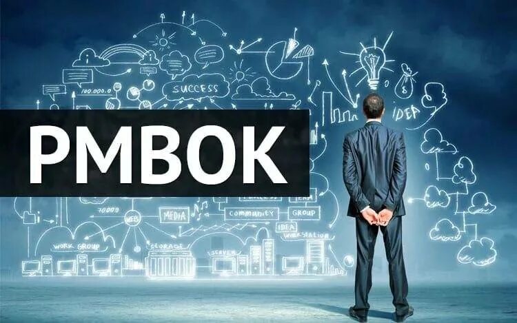 Свод знаний по управлению проектами pmbok Management body