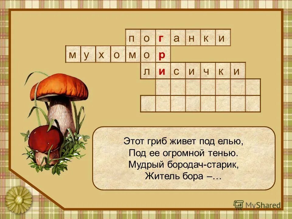 художник иллюстратор kestutis kasparavicius. макромир грибы улитки. сутеев живые грибы картинки. сказочные грибы рисунки. жил был гриб.