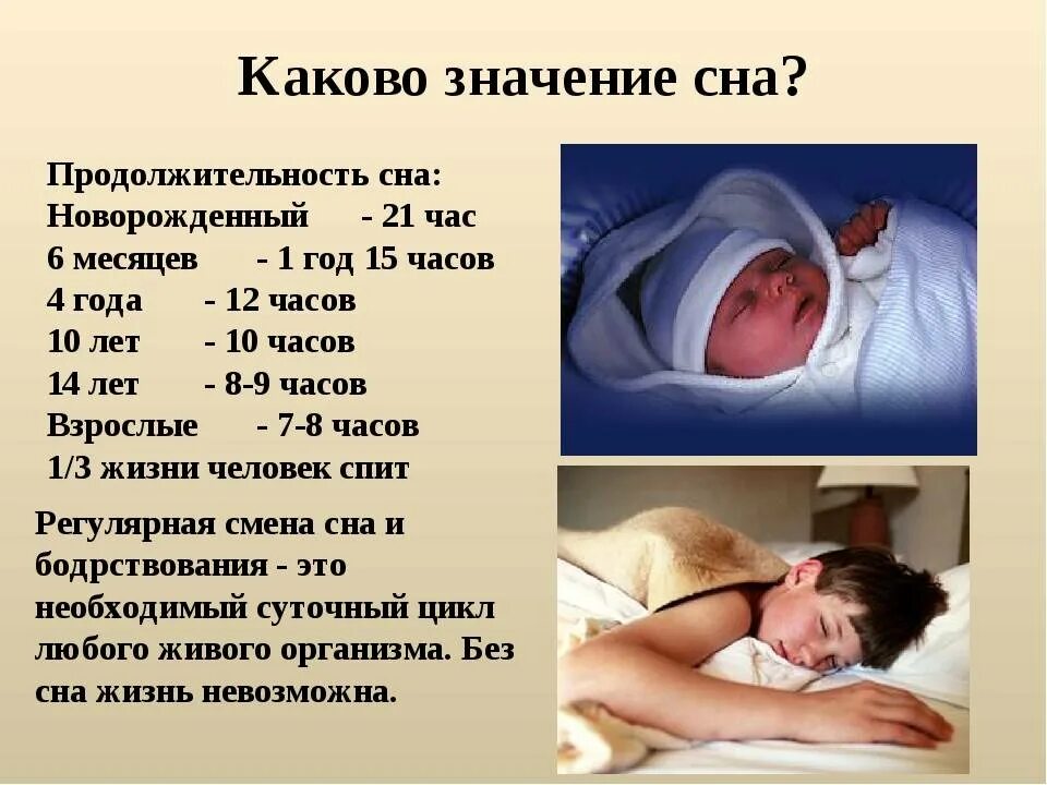 Значение слова спать. Важность сна для человека. Биологические ритмы и сон. Важность здорового сна для человека. Значение сна для организма человека.