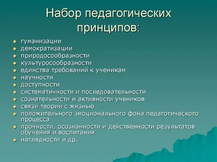 Что является педагогическими принципами