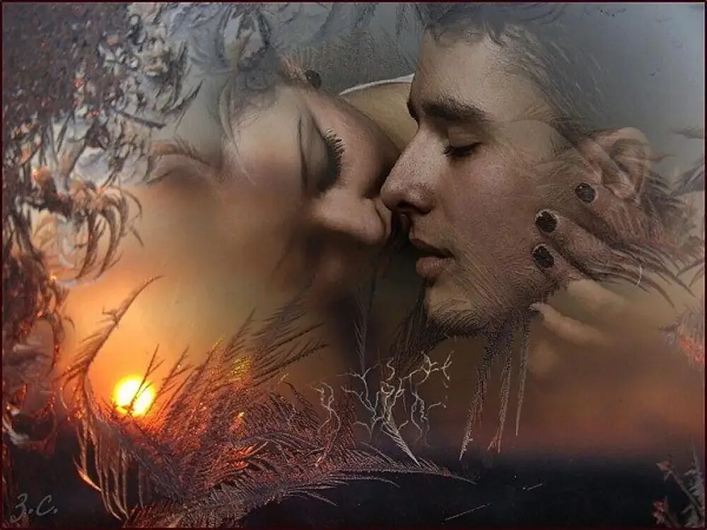 Душевные воспоминания. Влюбленные с ромашками. Весна любовь сердце. Воспоминания о любви. Нежного вечера.