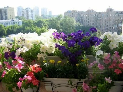 Балкон солнечная сторона
