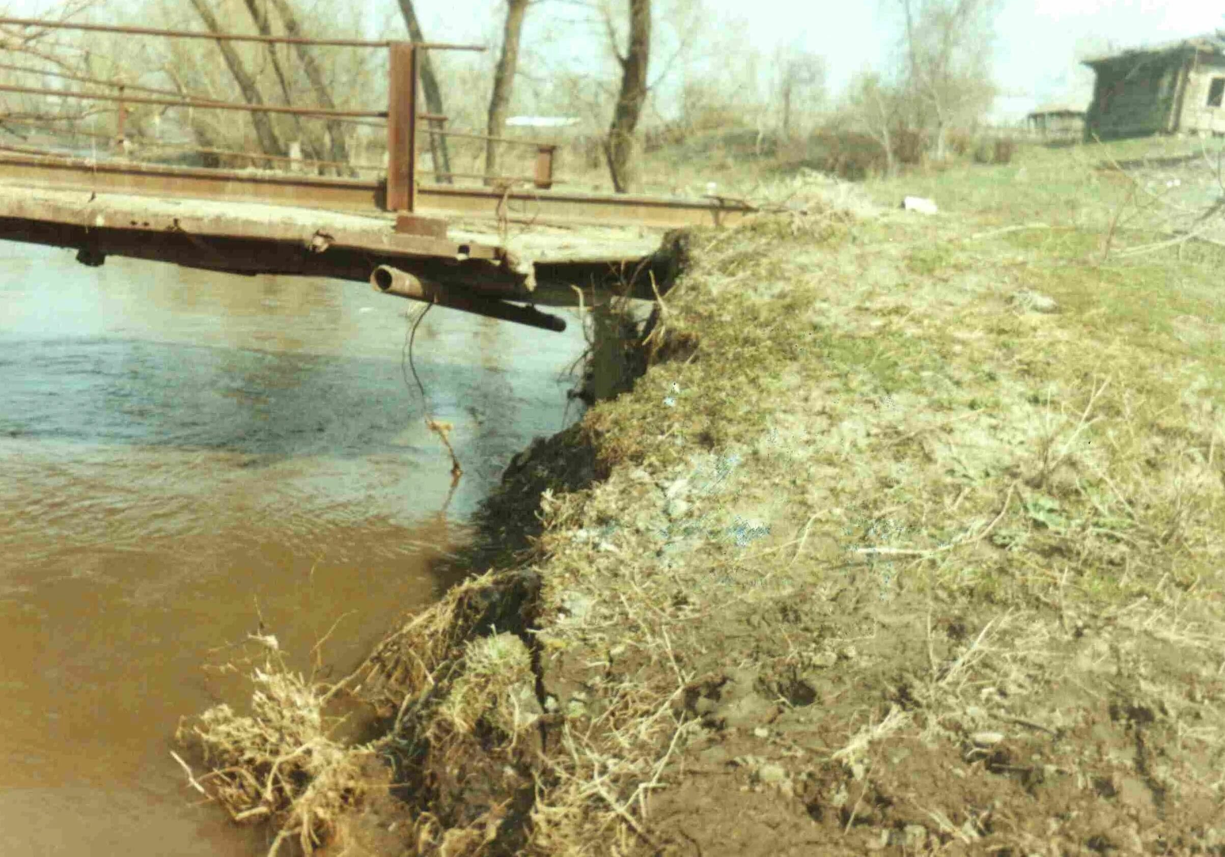Село огни алтайский край. Усть козлуха алтайского. Р чарыш усть калманка. Усть козлуха погода в алтайском крае. Усть козлуха погода в алтайском крае.
