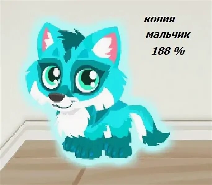 Как отдать пета. Как отдать пета