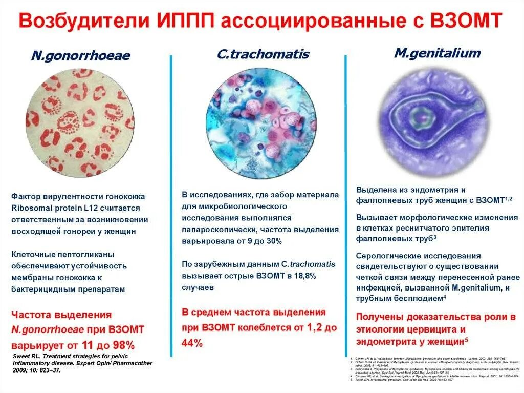 Что такое иппп у женщин. Инфекции передаваемые половым путем. Инфекции, передаваемые половым путем (ИППП). Инфекция передаваемая половым путём. Инфекции и заболевания передаваемые половым путем.