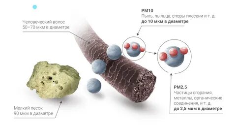 Pm 10 5