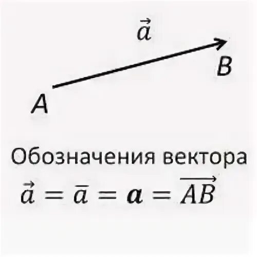 Вектор обозначается