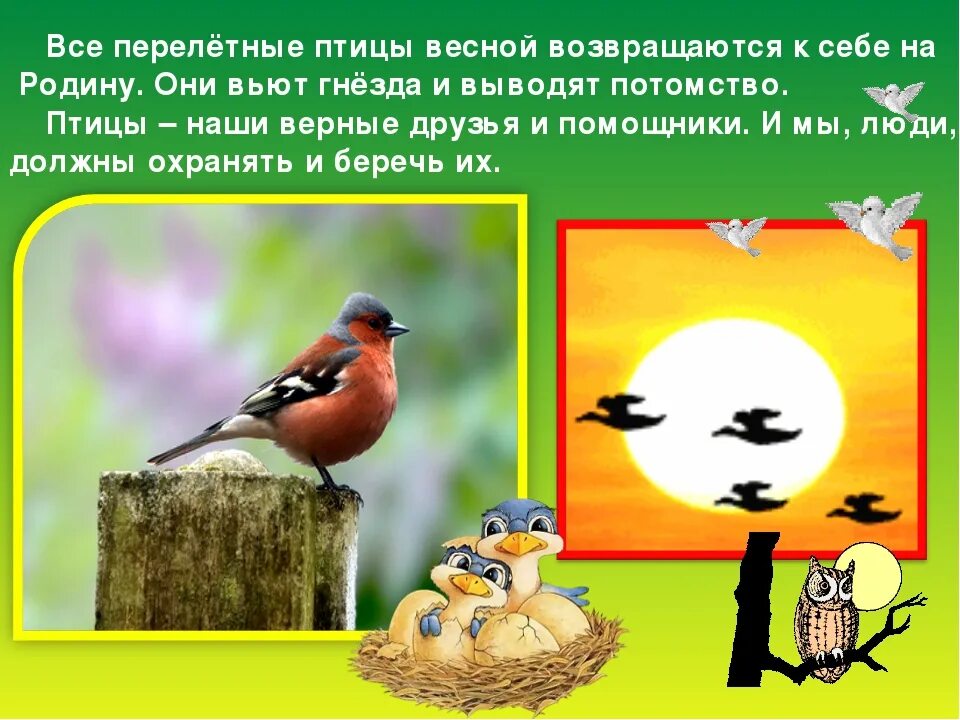 Перелетные птицы. Презентация птицы весенние. Перелетные птицы весной. Весенние птицы для детей.
