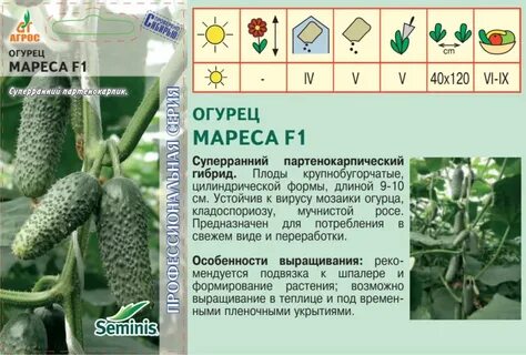 Огурцы портос описание сорта