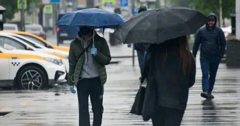 Ожидается ли дождь в ближайшее