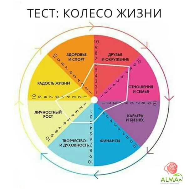 Колесо баланса диаграмма круговая. Колесо баланса 4 сектора. Колесо баланса 8 сфер. Круг сфер жизни баланса. Колесо баланса по 12 сферам жизни.