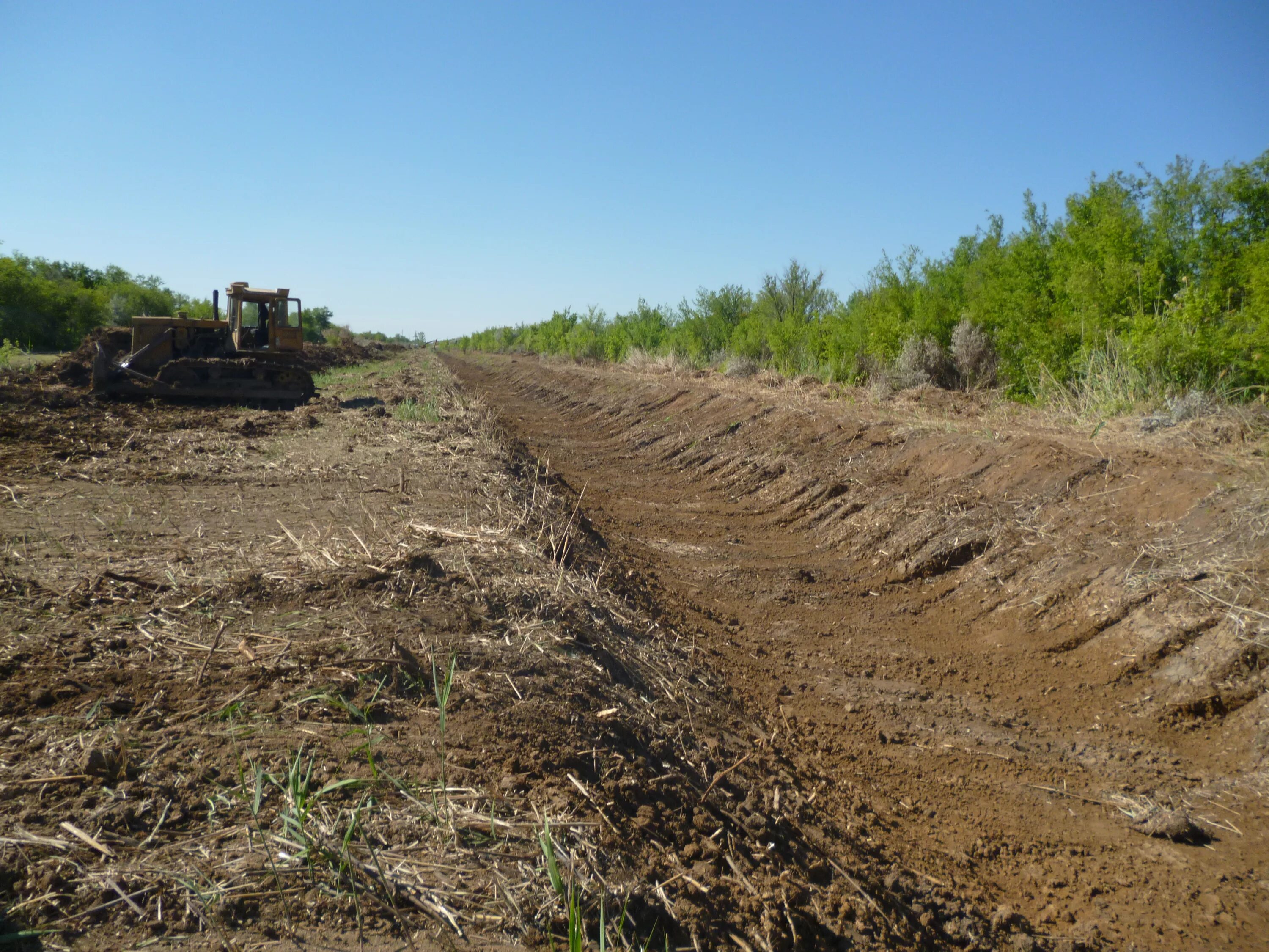 Виктор шевченко нии. А. А. Шевченко виктор александрович вниигим. Костяков мелиорация.