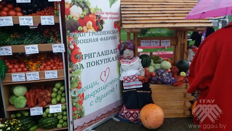 Минская овощная фабрика вакансии. Гродненская овощная фабрика организация работы. Минская овощная фабрика. Минская овощная фабрика вакансии. Гродненская овощная фабрика.