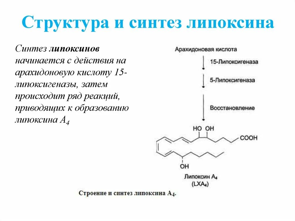 Формула арахидоновой кислоты. Эйкозаноиды и простагландины. Арахидоновая кислота биохимия. Эйкозаноиды биохимия. Арахидоновая кислота формула биохимия.