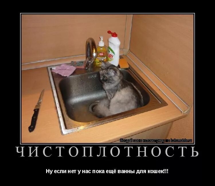 Кухня для детей. Уборка кухни. Чистоплотность. Домработница. Женщина убирается.