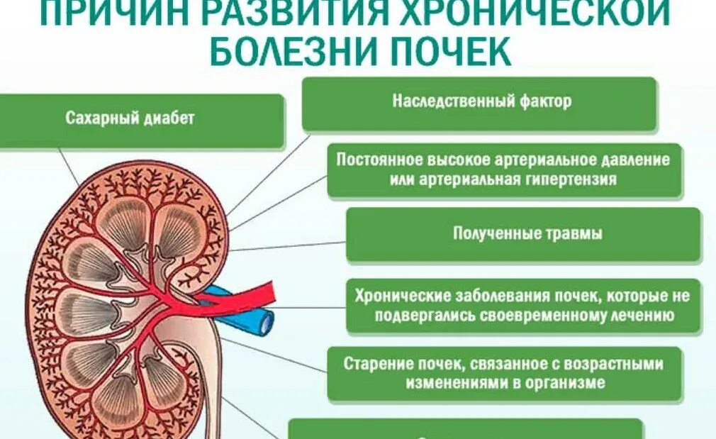 Какие симптомы при почках лечение