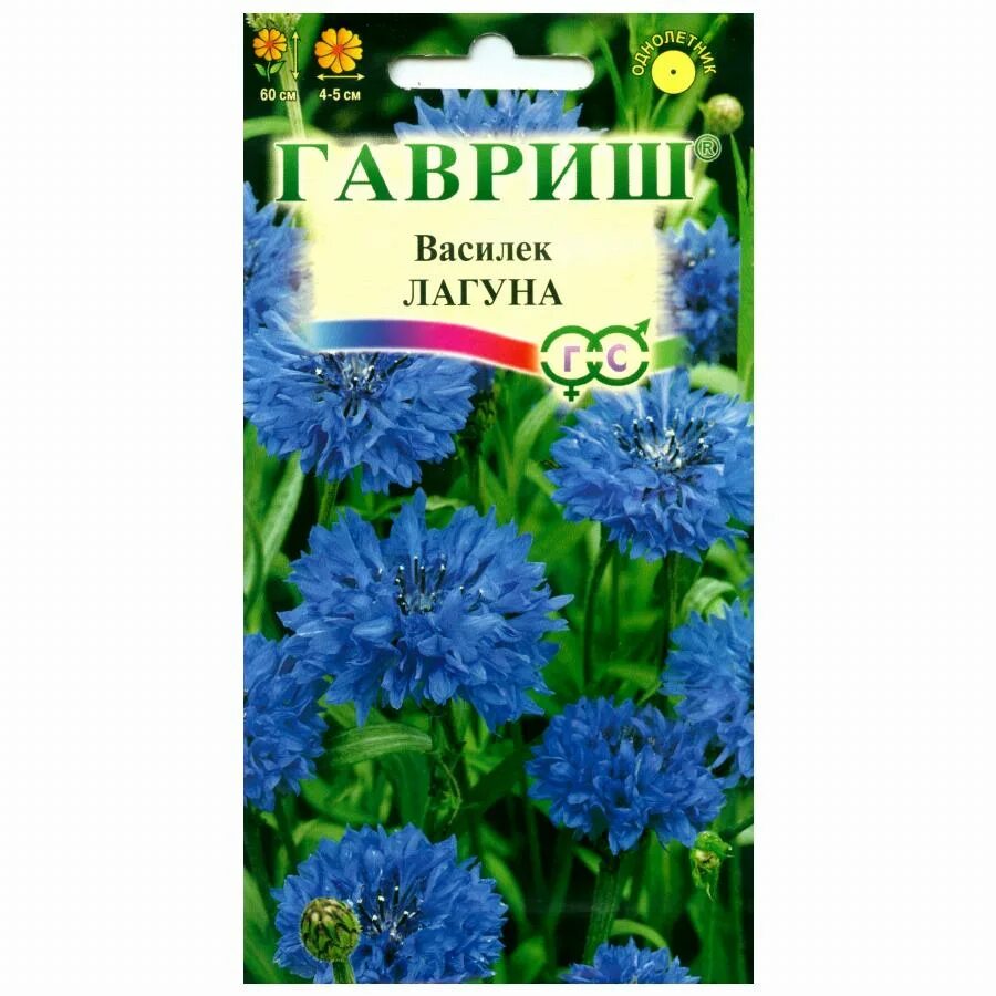 Постельное белье васильки. Васильки однолетние. Мой любимый василек. Любимый василек отзывы. Любимый василек отзывы.