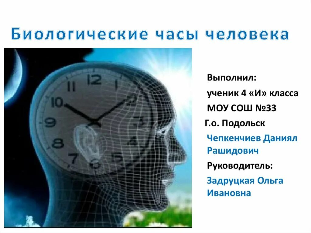 Биологически 5 часы. Биологические часы. Человеческие биологические часы. Человек часы. Биоритмы человека по часам.