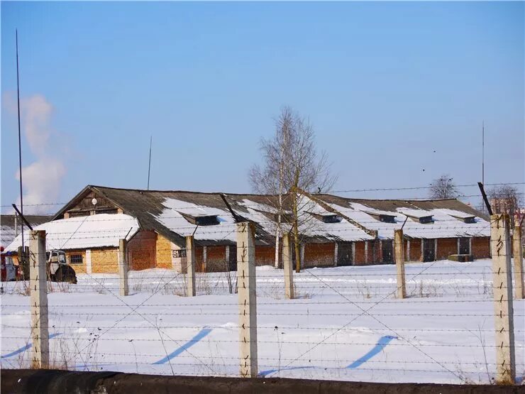Концлагерь песков 2. Шталаг 372 в пскове. концлагерь в пскове шталаг. концлагерь псков юбилейная.