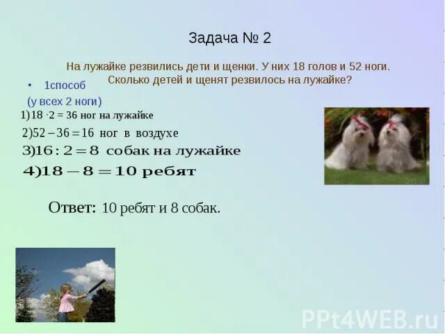 Задача про кур и поросят. Решение задачи про кур и поросят. Задачу про кур уток и гусей. Задача про гусей и поросят.