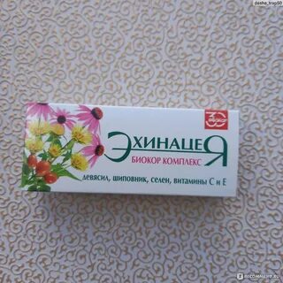 Биокор эхинацея
