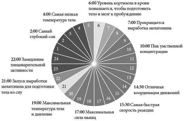 Время повышать уровень. Мелатонин часы выработки гормона. Выработка мелатонина по часам. Пиковые часы выработки мелатонина. График выработки гормонов в течение суток.