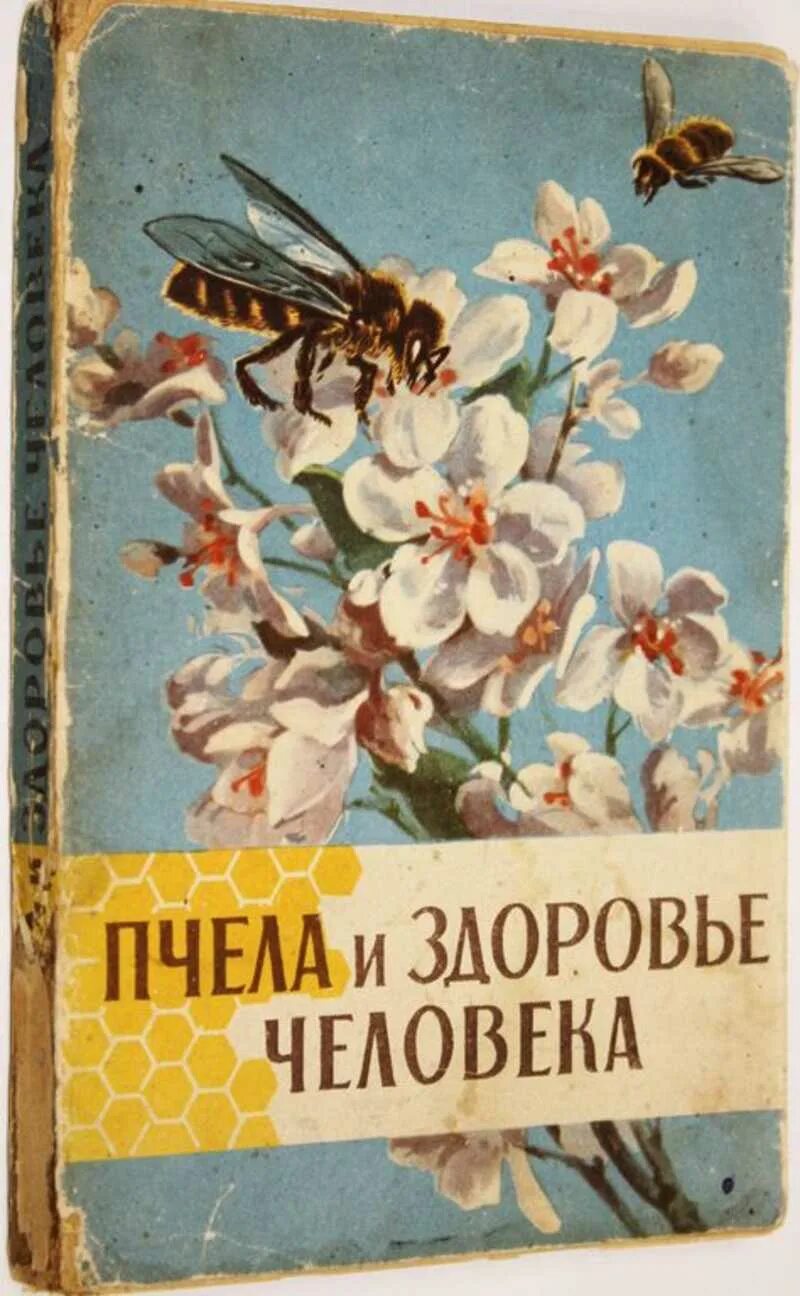 Пчелы здоровье