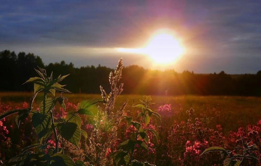 Всегда рассвет. Природа солнце. Лето вечер. Летний закат. Вечернее солнце.