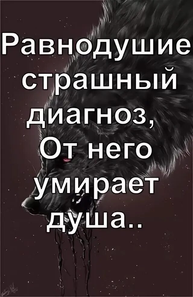 Спокойствие сильнее эмоций. Самое страшное это безразличие и равнодушие. Страшней равнодушье. Равнодушие человека к человеку. Страшней равнодушье.
