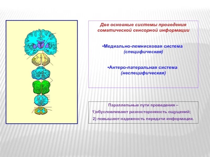Классификация систем координат по признакам. Способность природной системы переходить из одного. Два основные системы. Подходы к управлению персоналом. Законысеменйной системы.