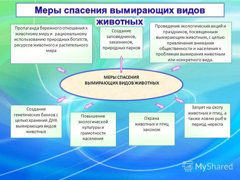 Данная мера необходима. Мероприятия по защите вымирающих видов. Меры по спасению исчезающих видов. Меры по охране исчезающих животных. Меры по сохранению редких животных.