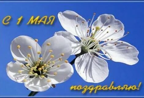 Чтоб мир царил