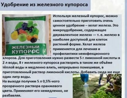 Железный купорос с мочевиной осенью пропорции применение