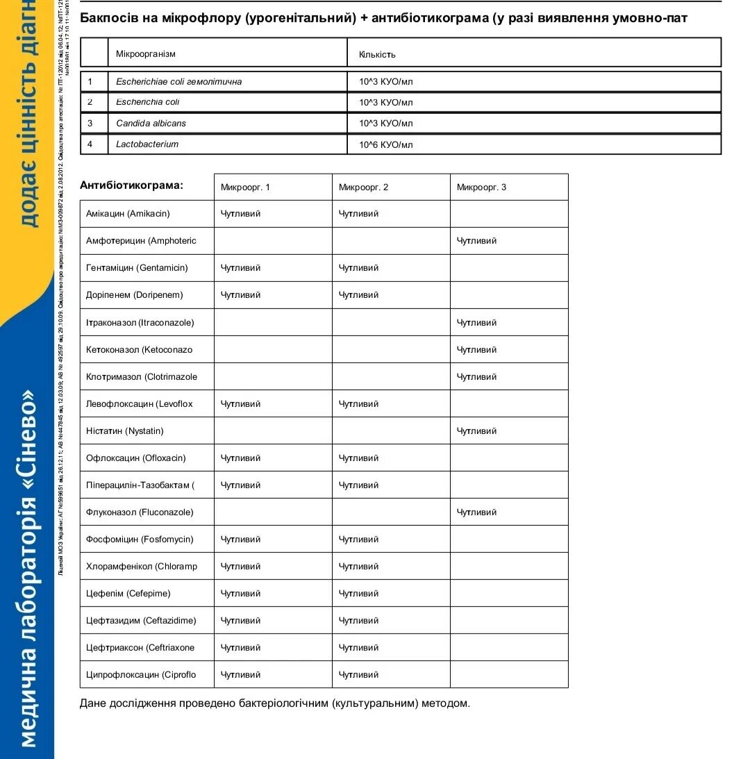 Флороценоз анализ расшифровка норма. Candida albicans норма. Кандида альбиканс норма в мазке у женщин. Анализы на бак посев расшифровка. Candida albicans 10 6 кое/мл.