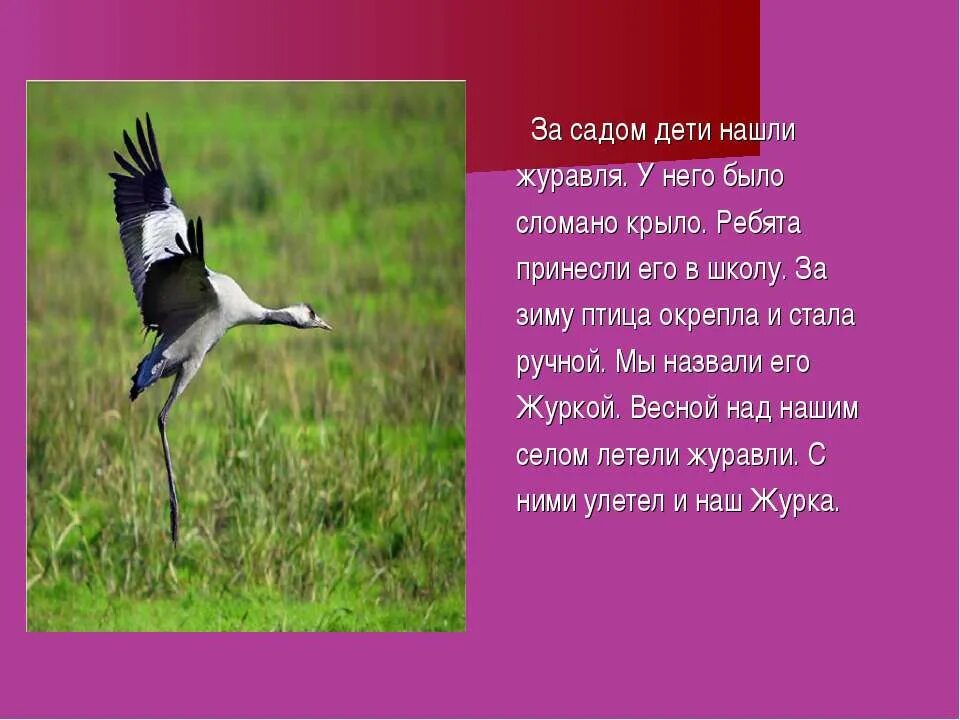 Найди слово в слове журавль. Журавль. Загадка про журавля для детей. Стихи о журавлях весной. Стих Журавли.