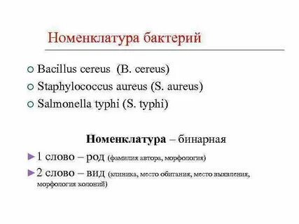 Таксономия и номенклатура