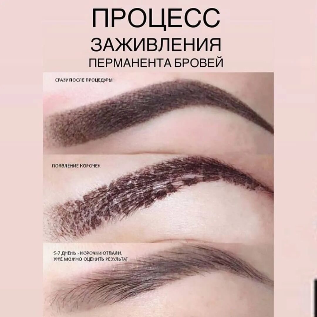 этапы заживления перманентного макияжа бровей. заживление перманентного макияжа бровей по дням. стадии перманентного макияжа. этапы заживления пм бровей. этапы заживления пудровых бровей.