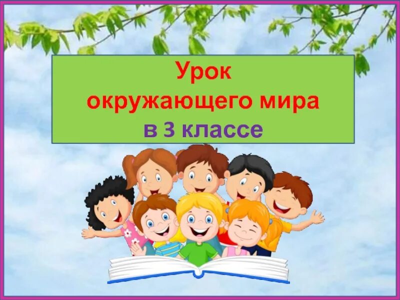 Интернет урок окружающий. Урок окружающий. Окружающий мир презентация. Урок окружающий мир презентация.