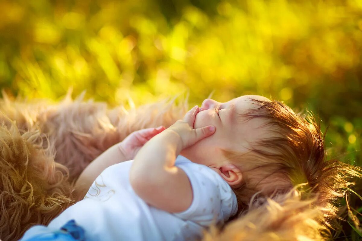 удиви меня малыш концовка. дуглас гриффин банимен. удиви меня малыш концовка. The town that dreaded sundown. простые радости жизни.