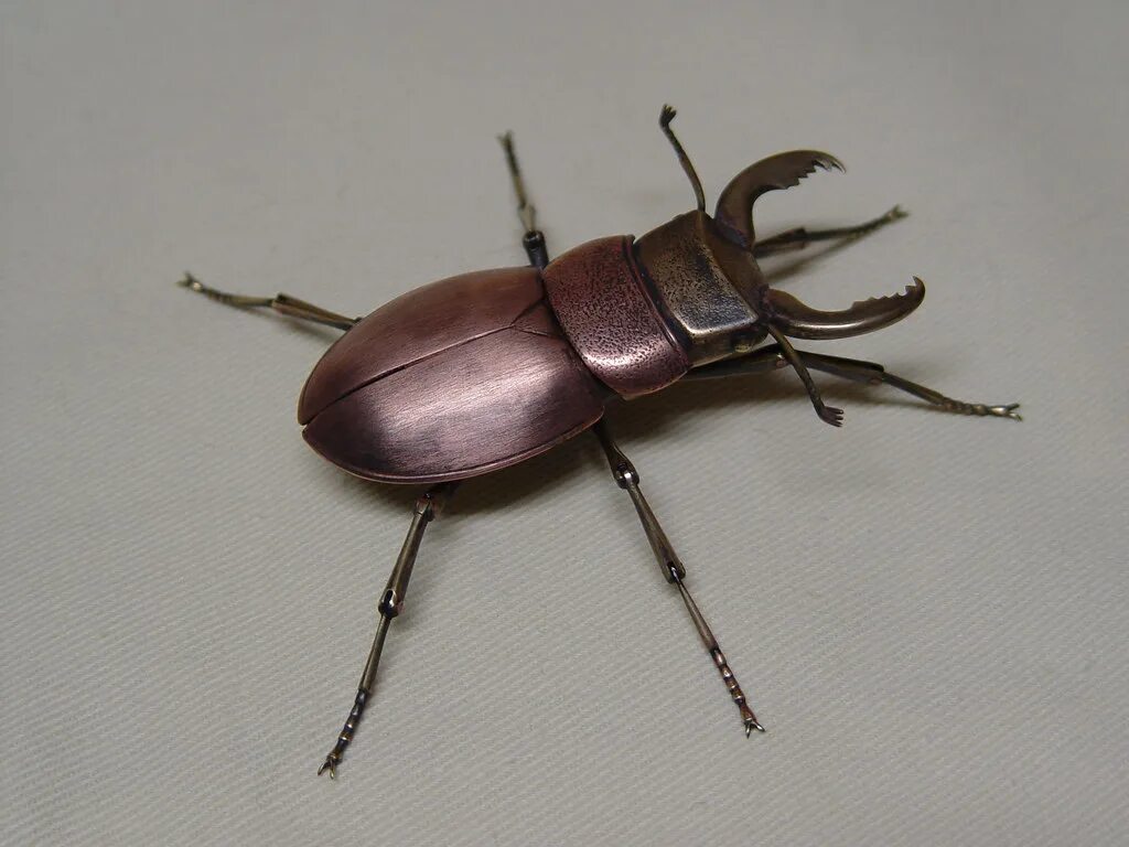Поставь жуки 3. Жук из металла. Металлизированные насекомые. Металлические жучки. Жуки из металла своими руками.