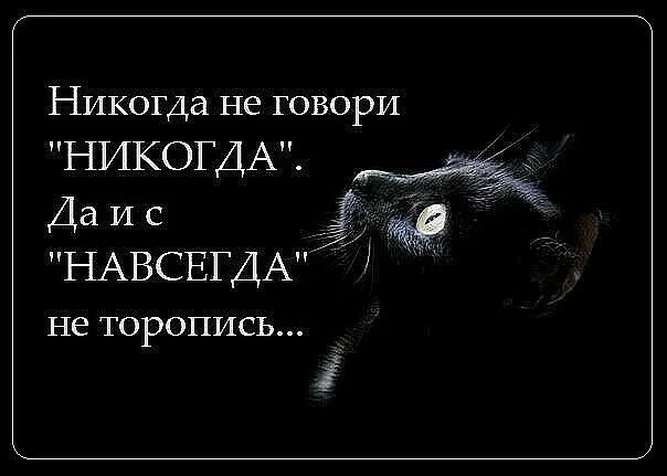 Никогда не говори никогда фраза. Никогда не говори никогда цитата. Никогда не говори никогда никогда не говори навсегда. Поговорка никогда не говори никогда. Никогда цитаты.