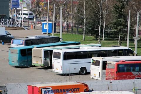 Автобусы слева