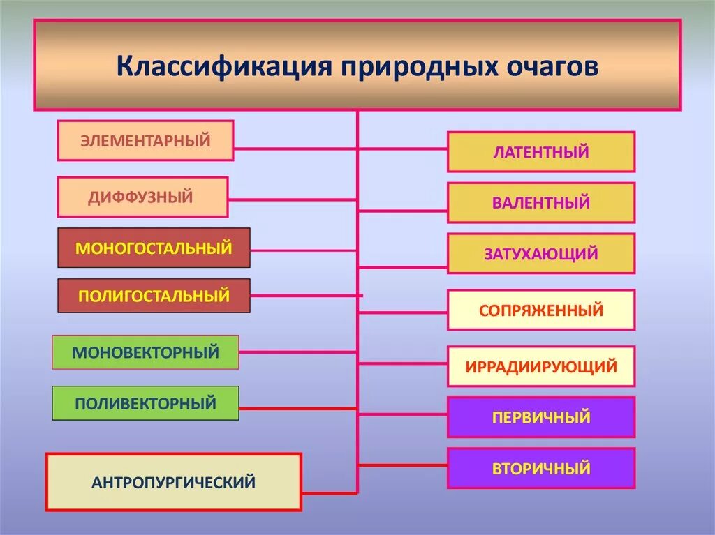 Примеры природных очагов. Природные очаги классификация. Классификация природных очагов. Основные типы природных очагов болезней. Классификация природно-очаговых заболеваний.