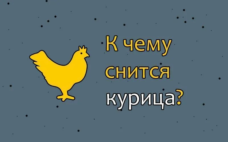 К чему снится курица. К чему снятся куры. Сон курица Живая. К чему снится курица Живая.